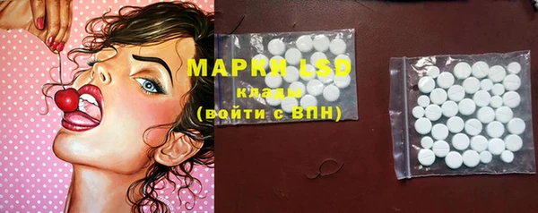шишки Новодвинск