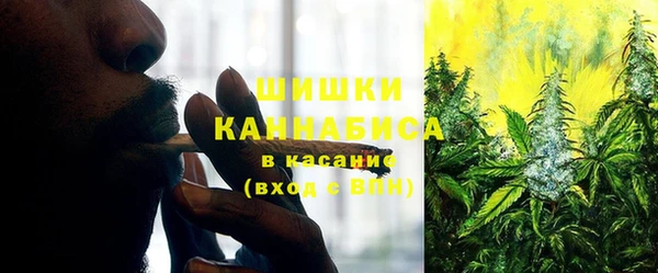 стаф Нягань