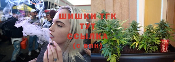 стаф Нягань