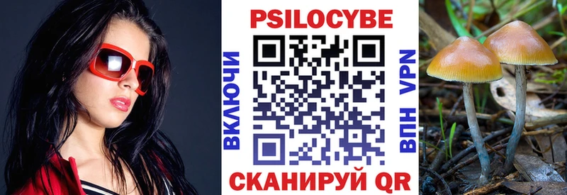 Галлюциногенные грибы прущие грибы  Костерёво 